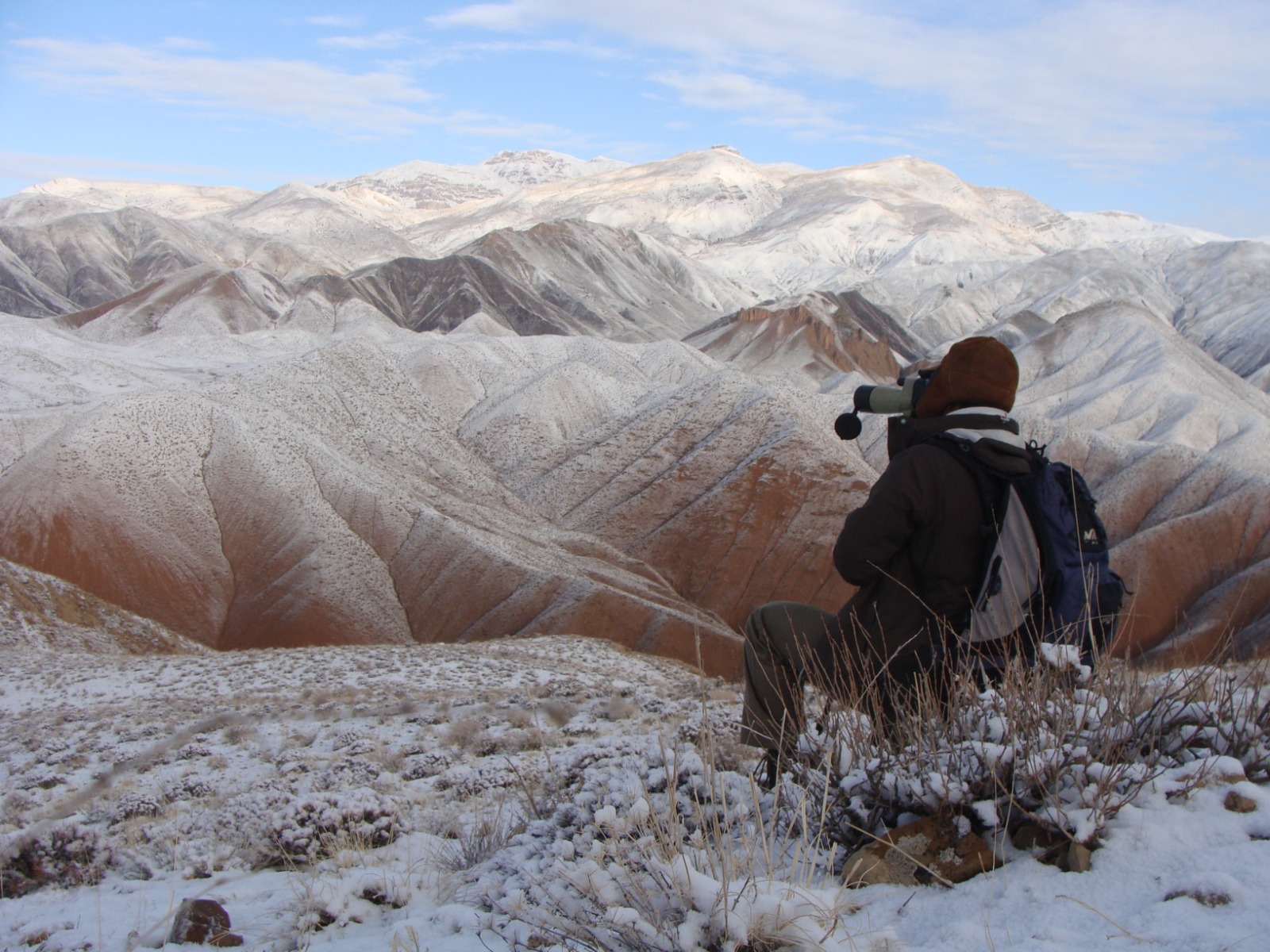 Guest Blog: WildCats in Iran – New tourism initiative to help conservation