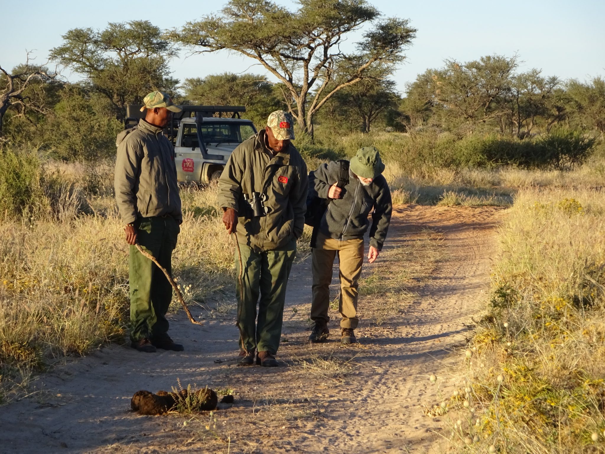 WildTrack counting black rhino in Namibia using FIT