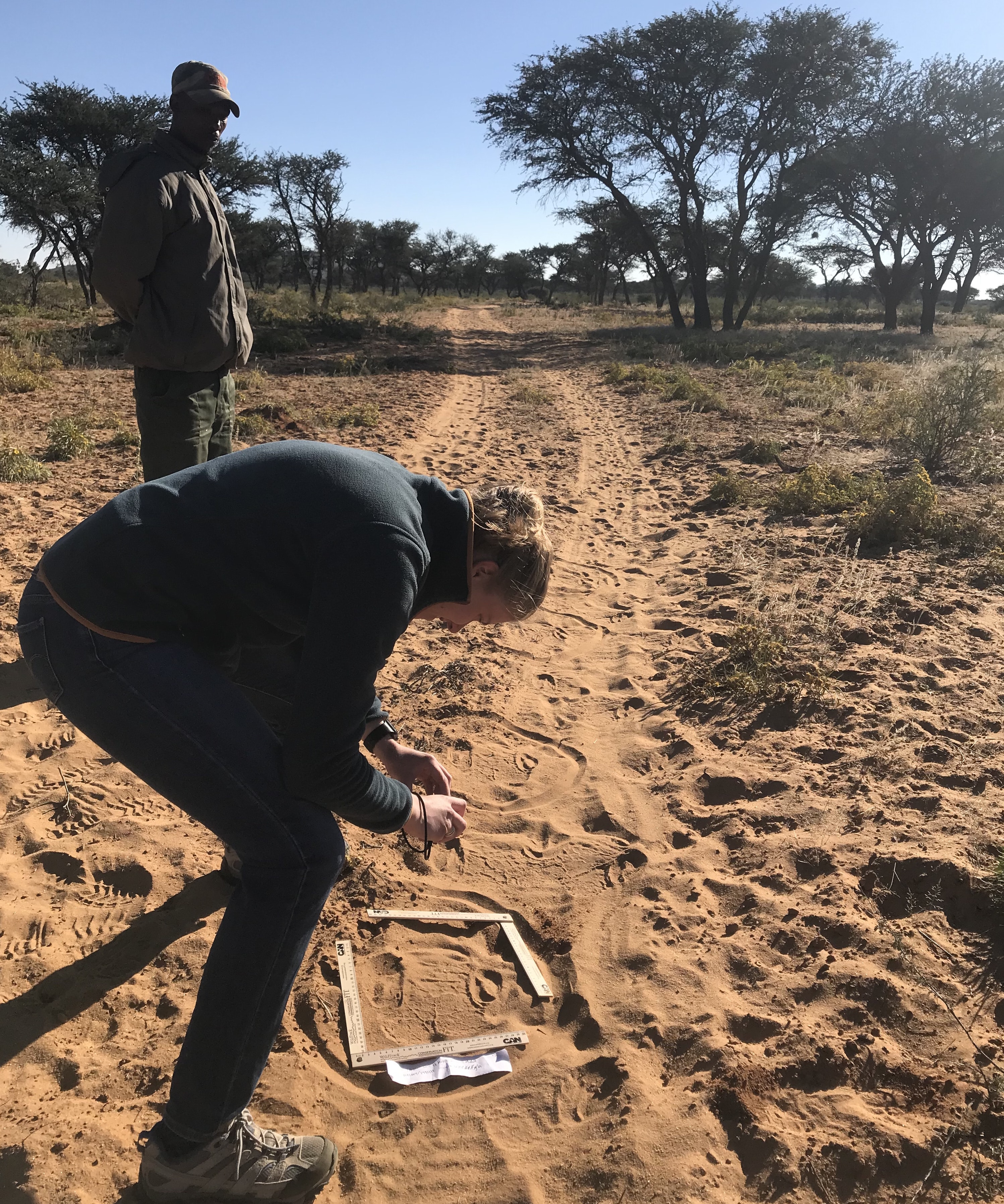 My Experience Tracking Rhinos in Namibia with WildTrack