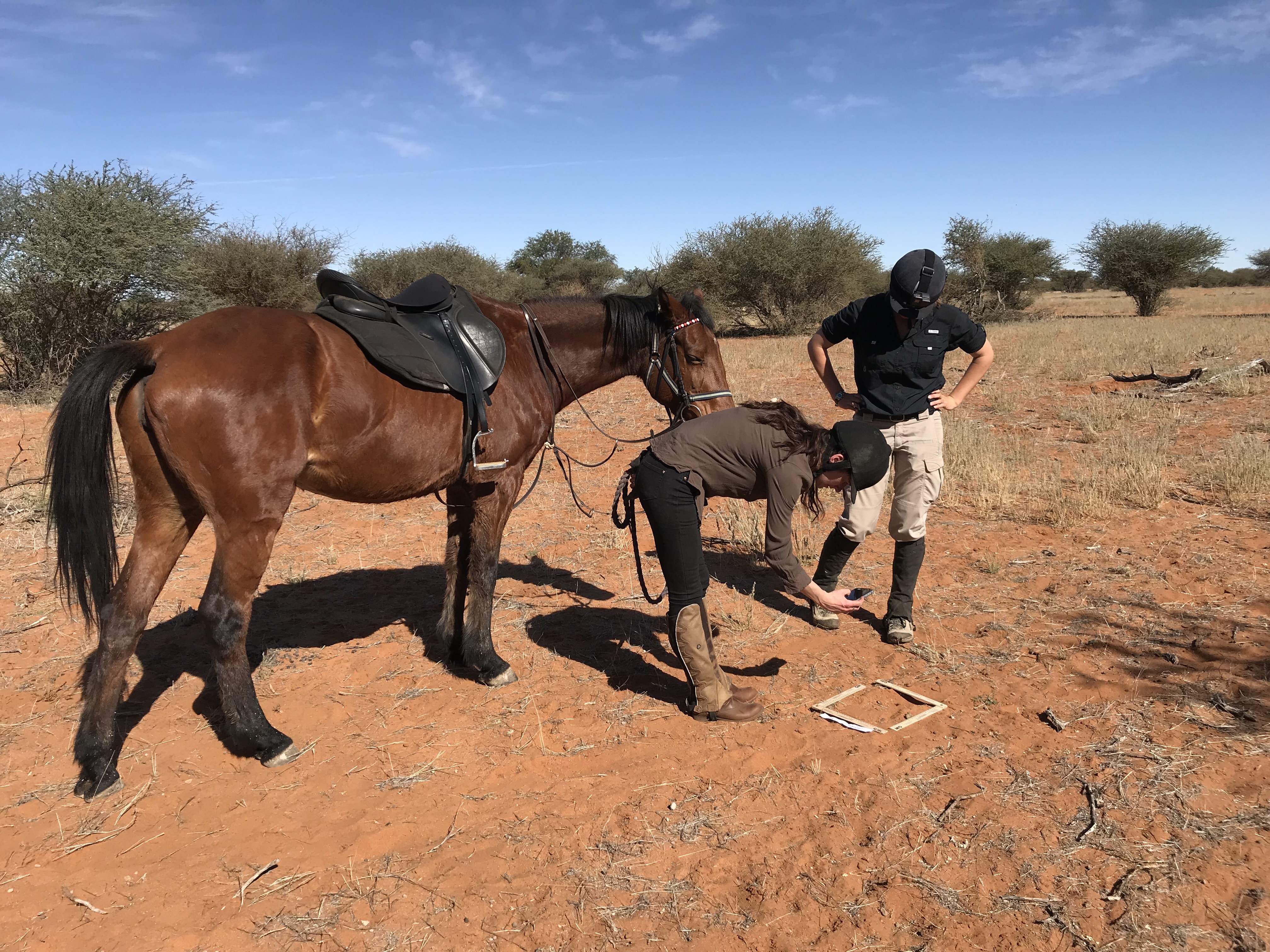 Rhino monitoring in Namibia