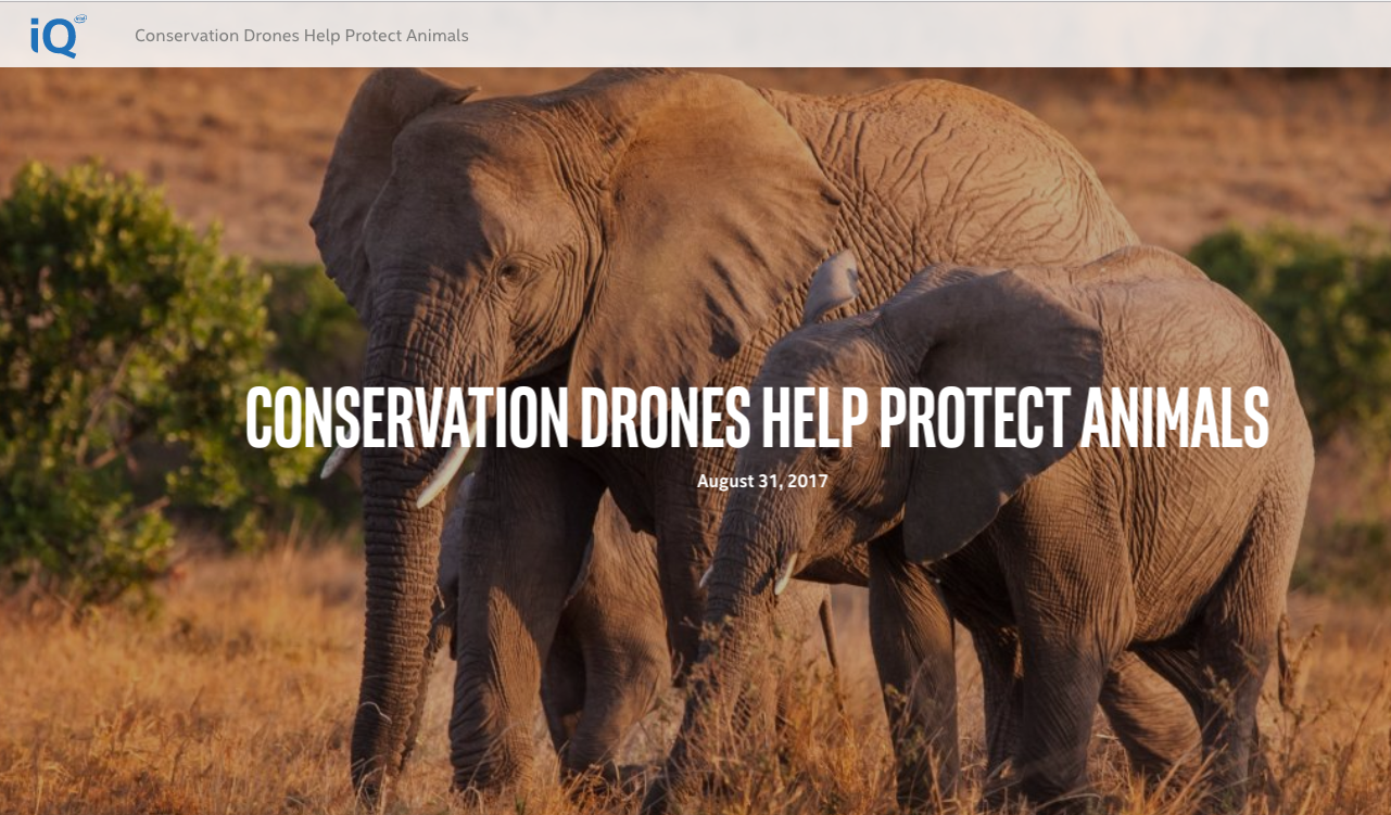 Intel iQ tells how WildTrack's new ConservationFIT project uses drones