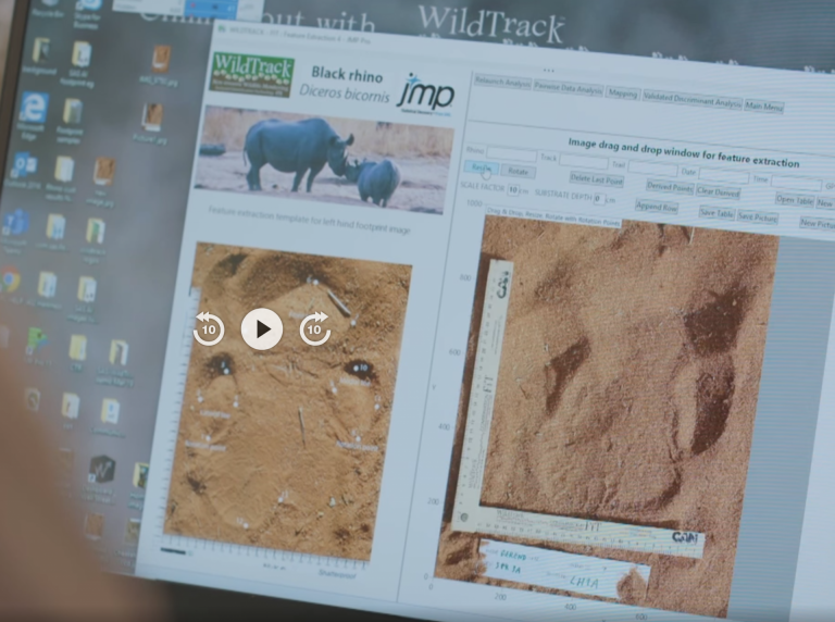 WildTrack featured in TerraX documentary