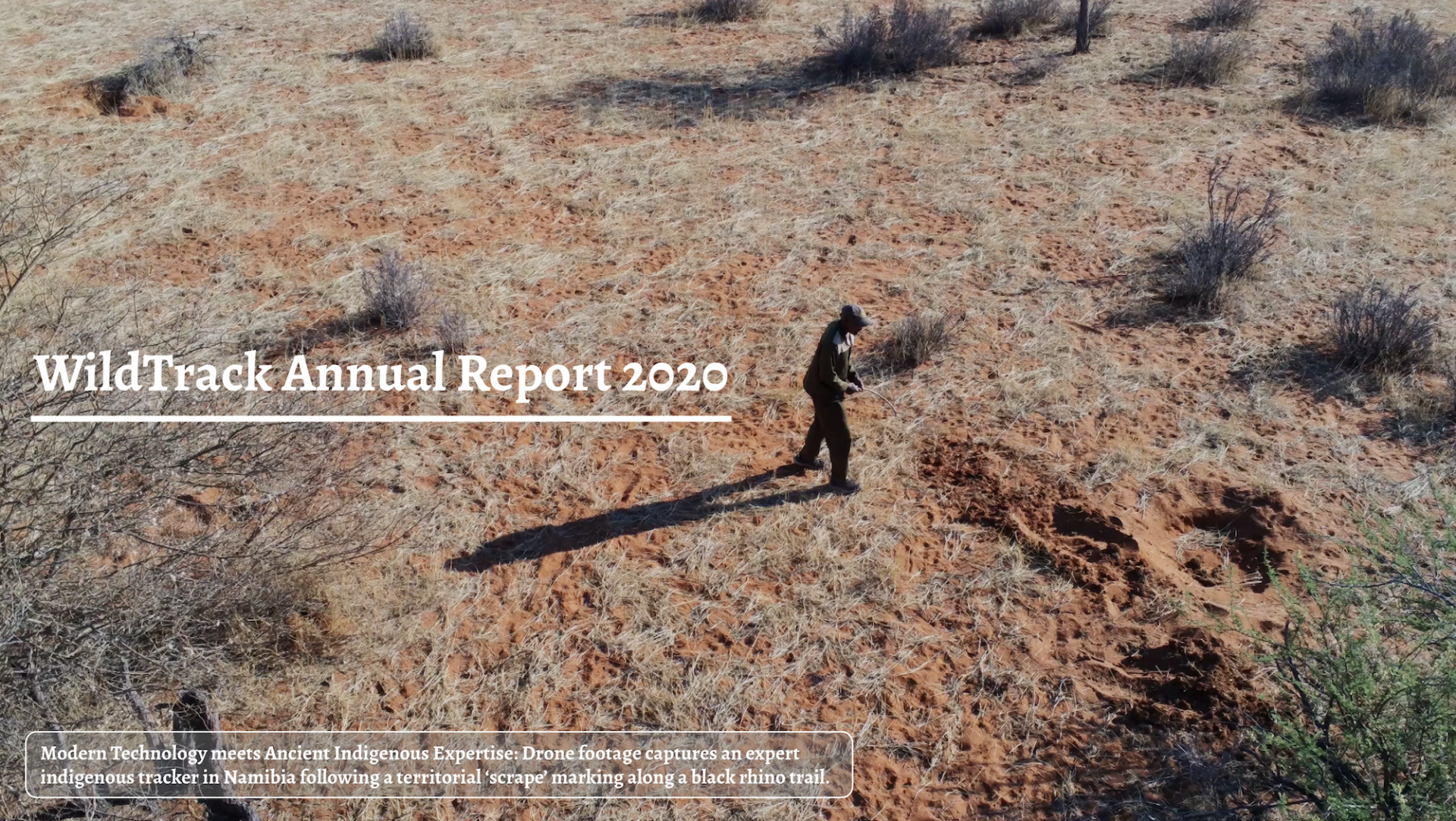 WildTrack Annual Report 2020