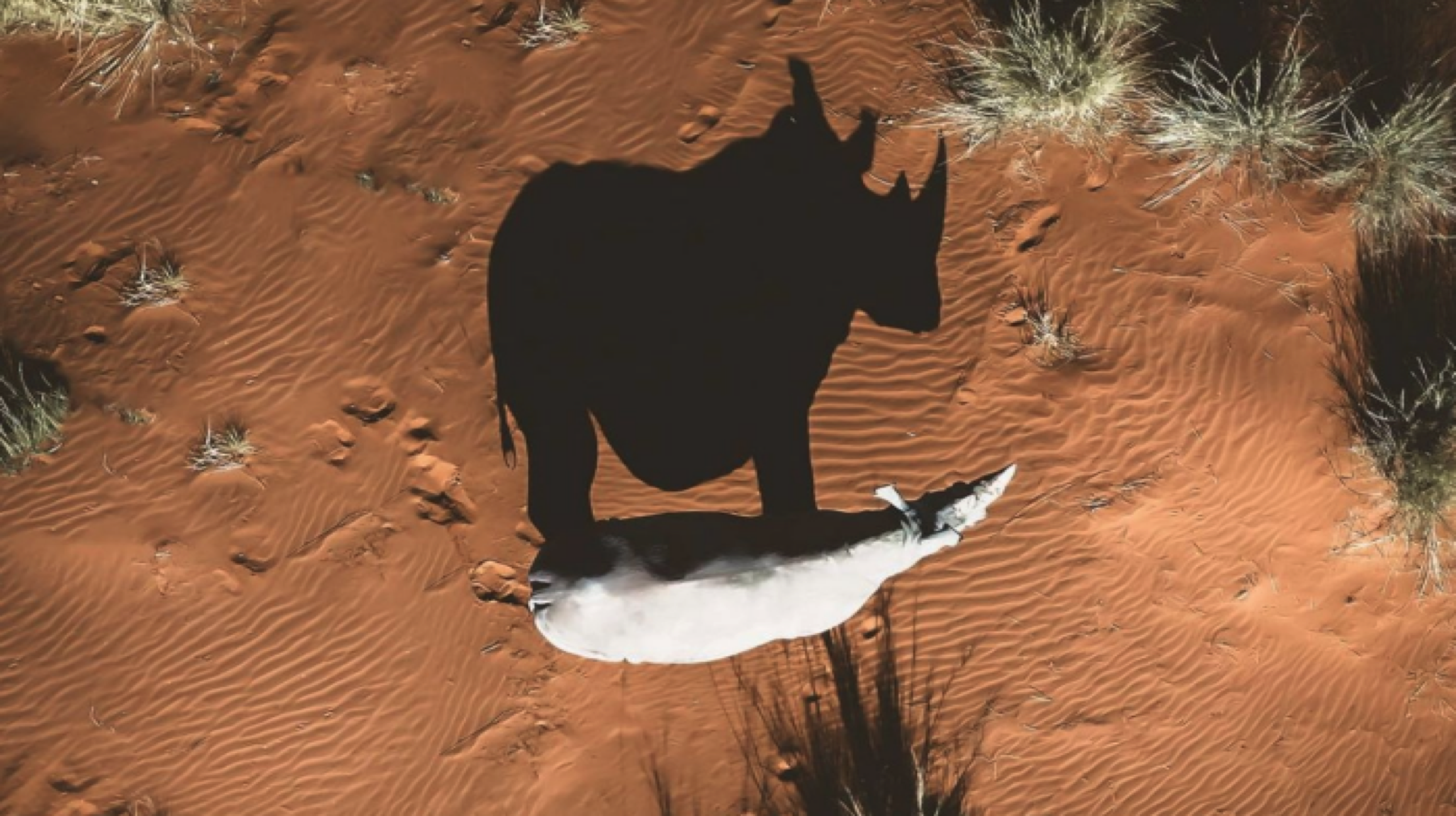 2024-5 WildTrack<br>Annual Report