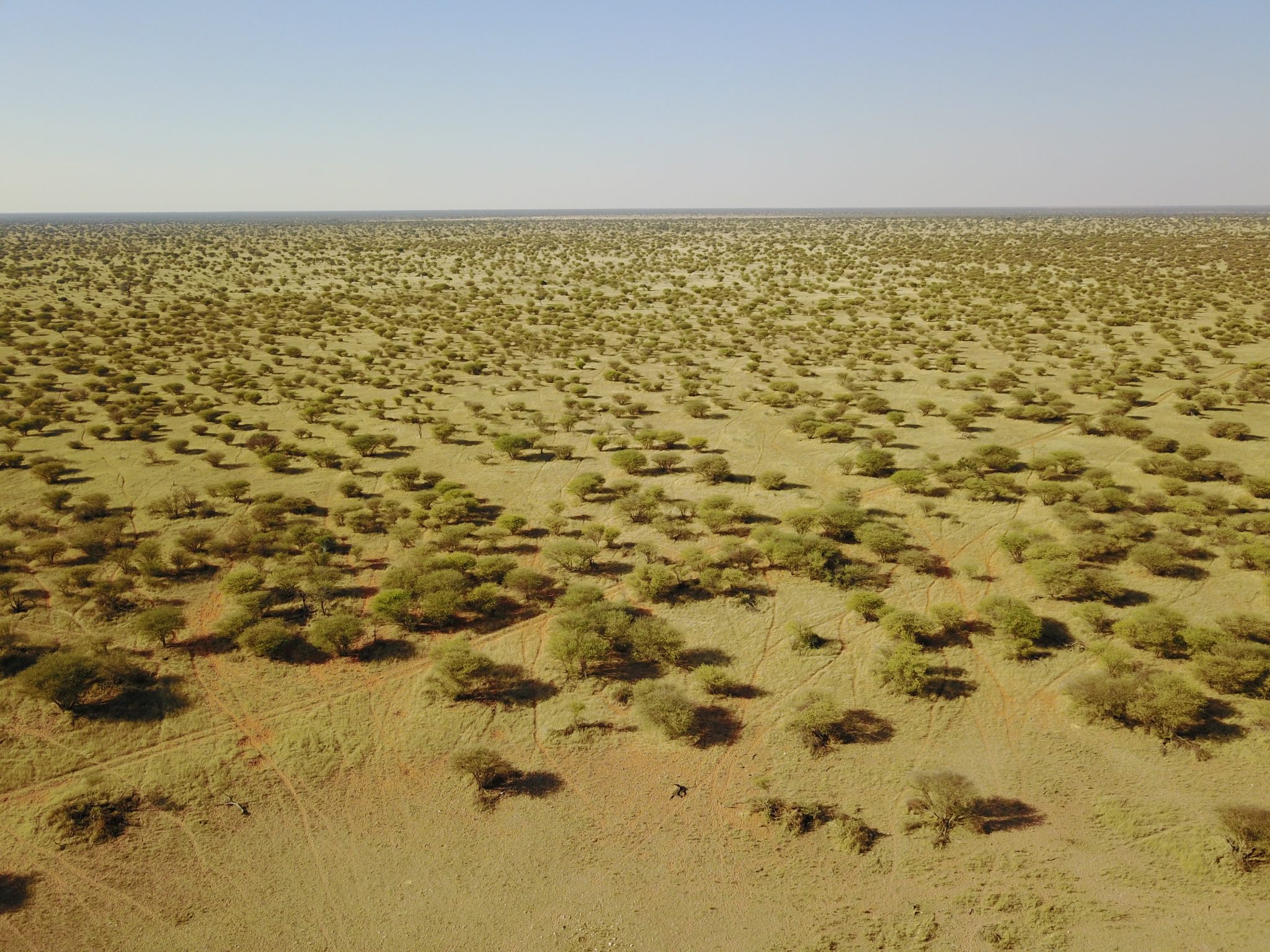 An aerial view of the central Namibian plateau.