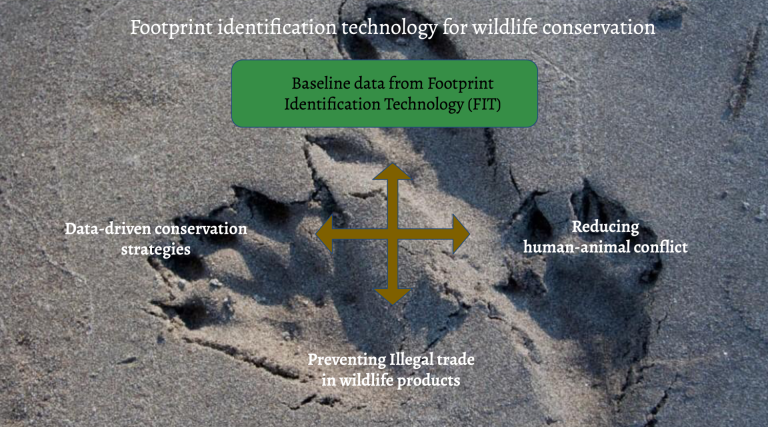 Technology to protect endangered species
