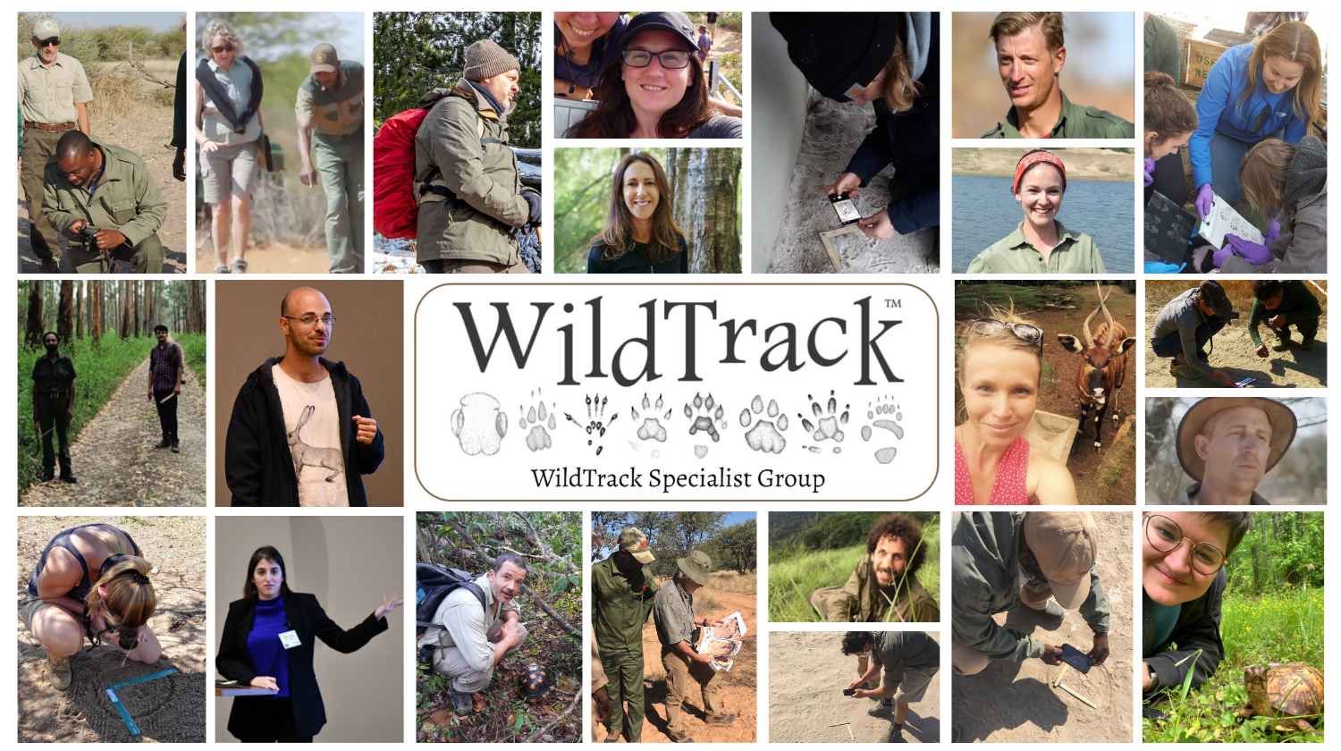 WildTrack Specialist Group