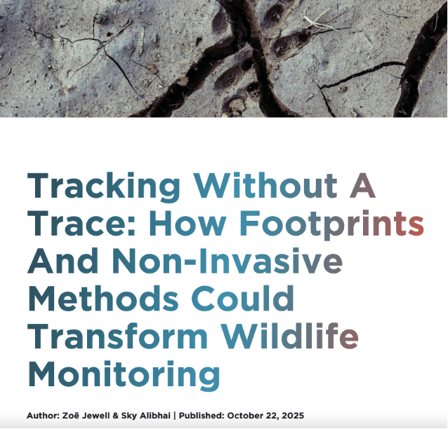 One Footprint at a Time: Advancing Ethical Wildlife Monitoring with Faunalytics